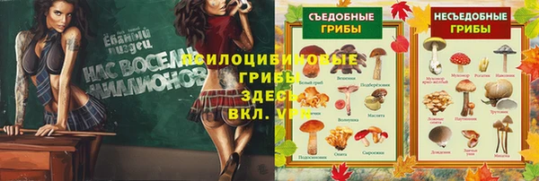 дмт Лихославль