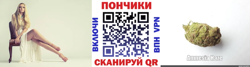 Шишки марихуана планчик Новая Ладога